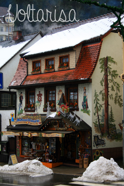 Triberg 2 600x400-logo